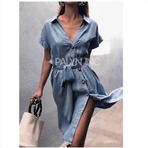 Zara Light Blue Button-Down Dress